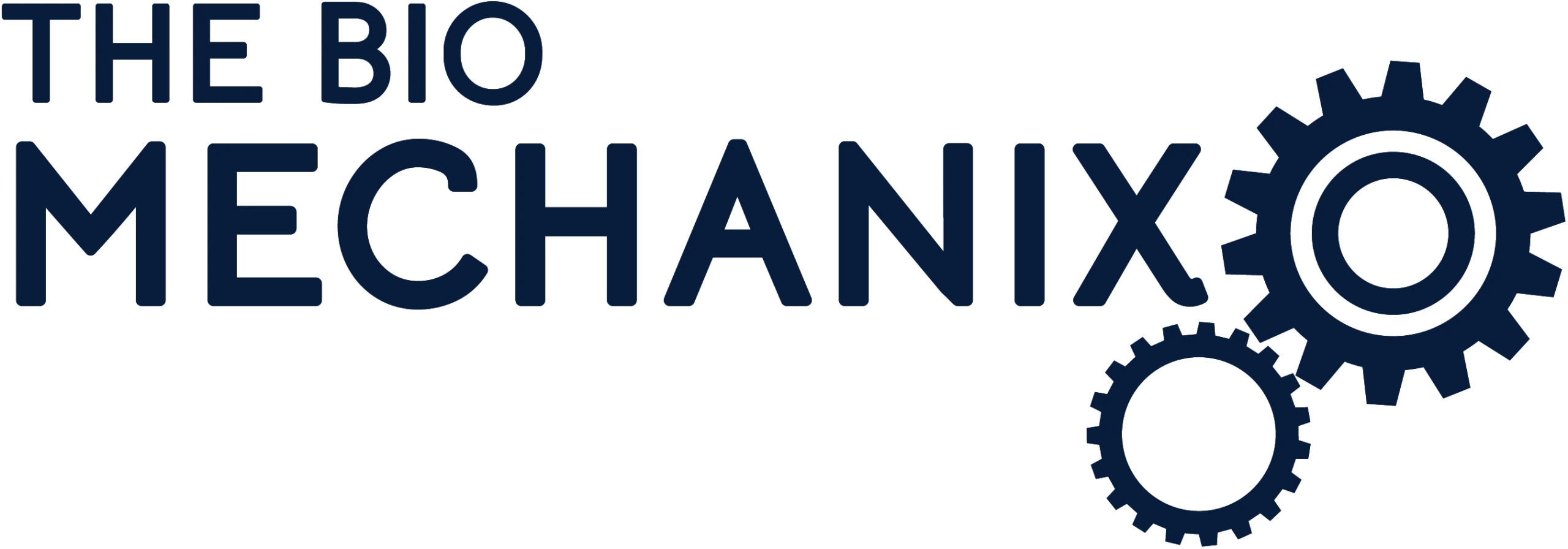 The Bio Mechanix logo – a professional and modern visual identity for the Fulham-based clinic.